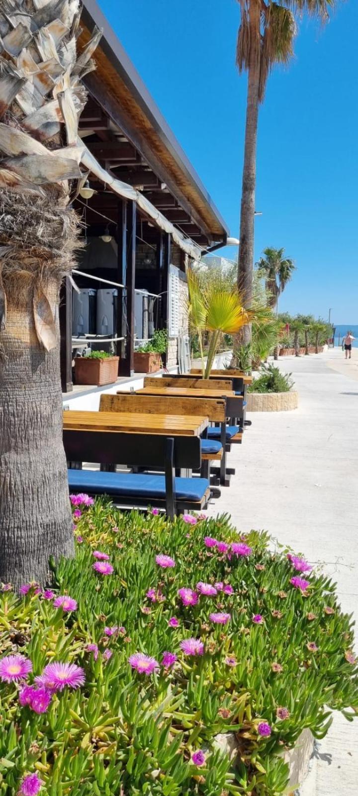 San Antonio Hotel 4*